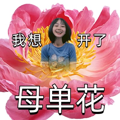 情人节单身趣味微信表情包