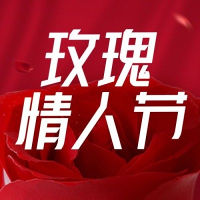 通用玫瑰情人节祝福简约公众号次图