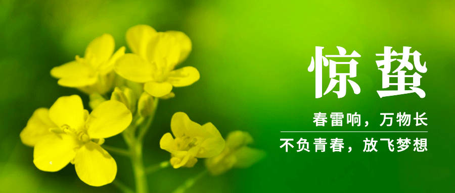 惊蛰公众号首图预览效果