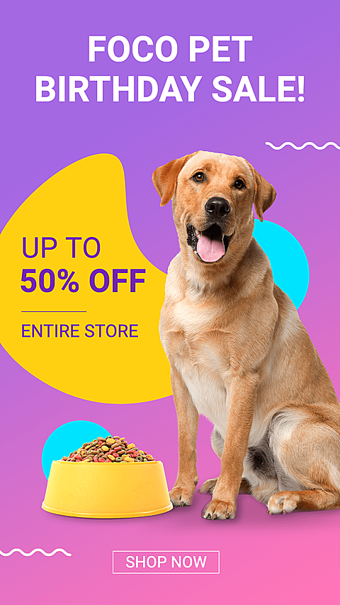 Pet Product Supplies Sale Promo Ecommerce Story
