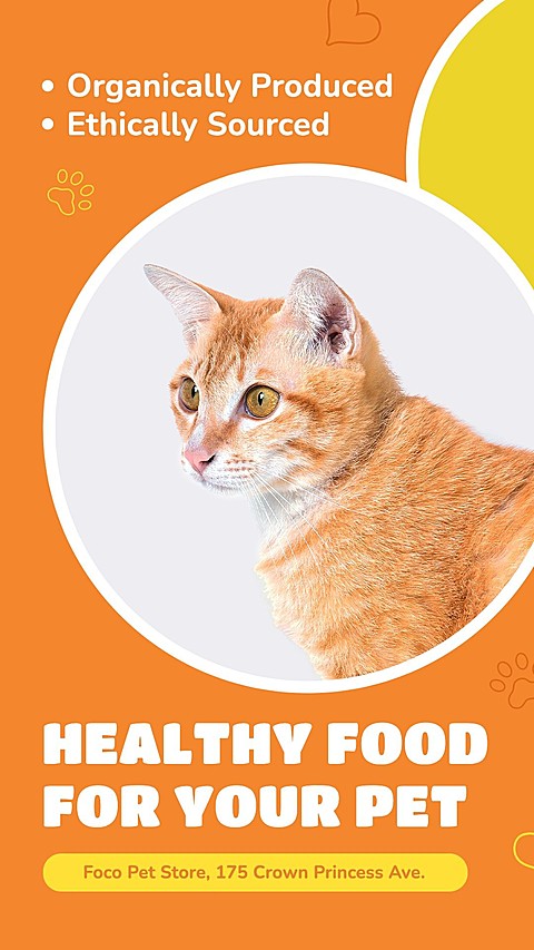 Dot Element Cute Style Pet Product Supplies Promo Ecommerce Story