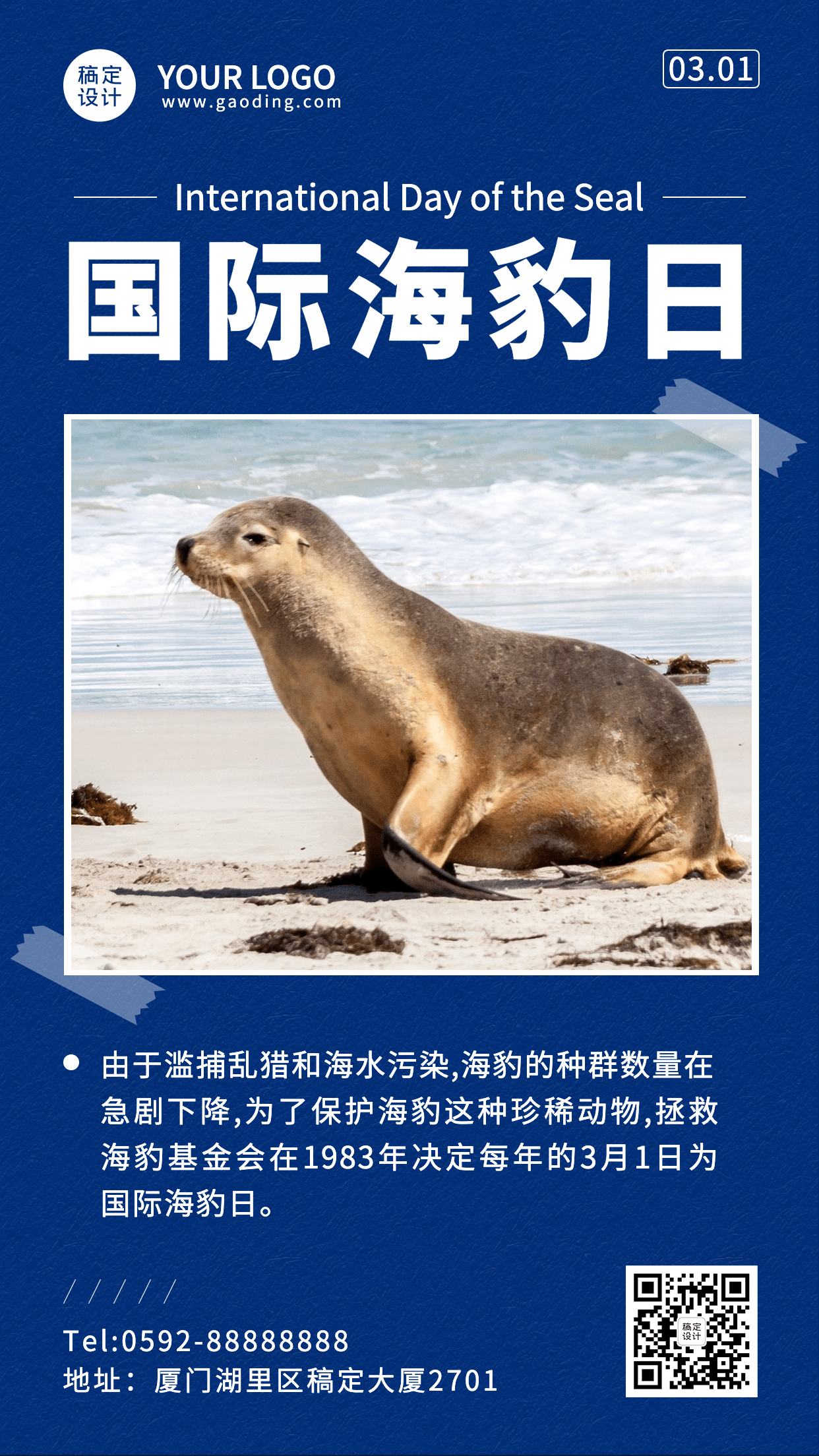 3.1国际海豹日节日宣传手机海报