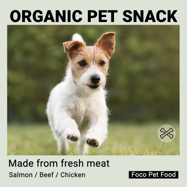 Running Dog Pet Supplies Promo Ecommerce Product Image预览效果