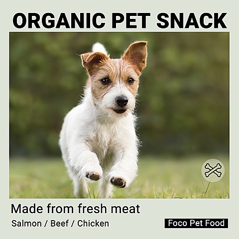 Running Dog Pet Supplies Promo Ecommerce Product Image