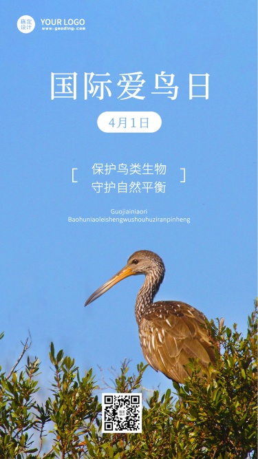 国际爱鸟日节日宣传实景手机海报