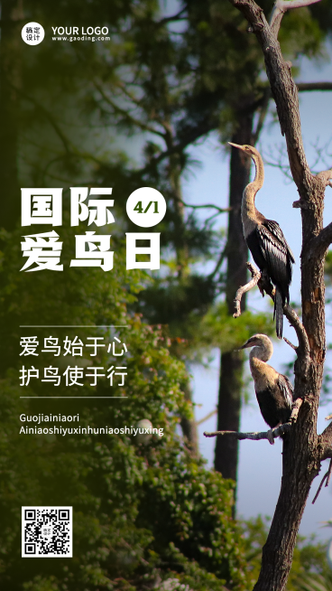 国际爱鸟日节日宣传实景手机海报预览效果