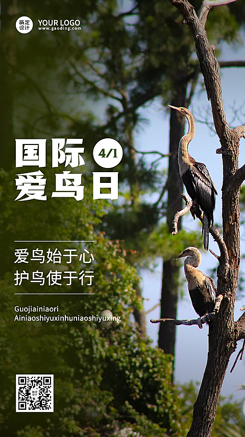 国际爱鸟日节日宣传实景手机海报