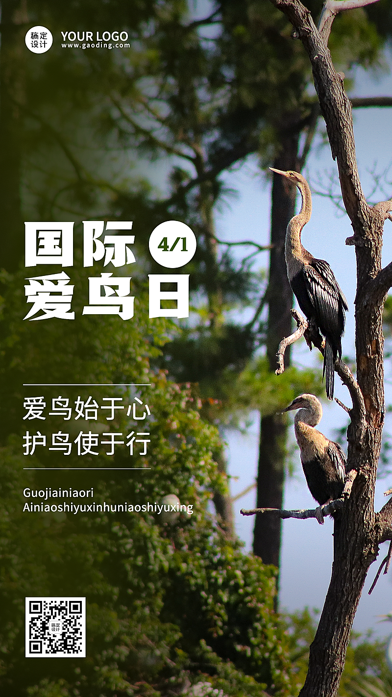 国际爱鸟日节日宣传实景手机海报