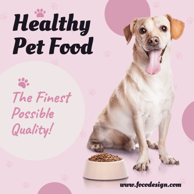 宠物用品产品营销电商主图Pet Supplies Promo Ecommerce Product Image预览效果