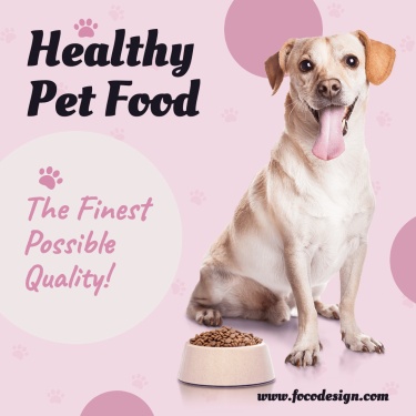 宠物用品产品营销电商主图Pet Supplies Promo Ecommerce Product Image
