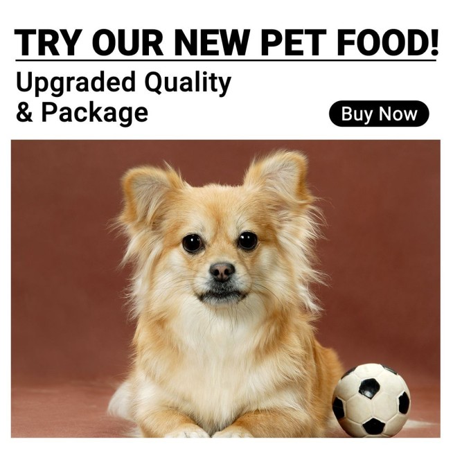 Pet Supplies Football Display Promo Ecommerce Product Image预览效果