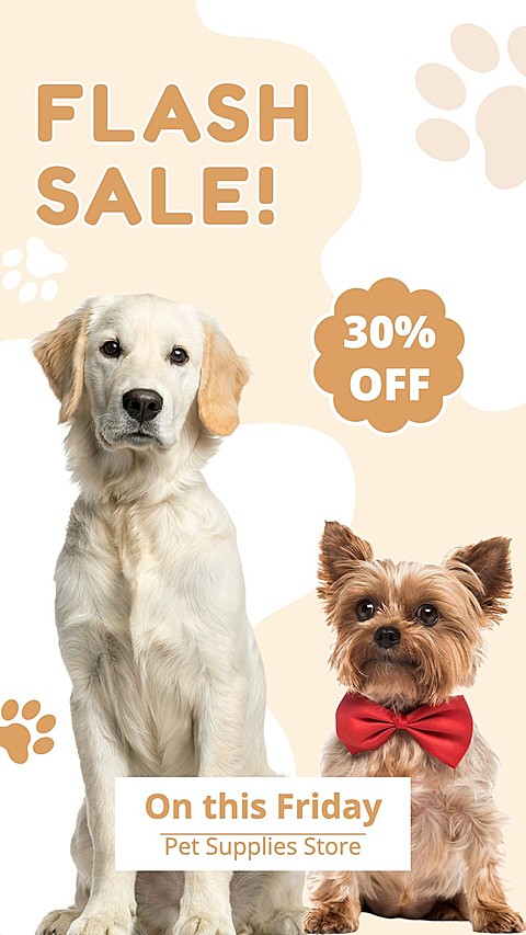 Rectangle Element Cute Style Pet Product Supplies Sale Promo Ecommerce Story