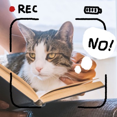Creative Camera Interface Simulation Cat Instagram Story
