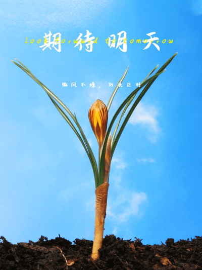 天空/云朵日常分享简约风plog模板