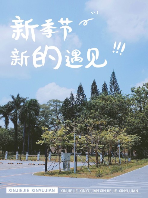 秋天风景晒照plog预览效果