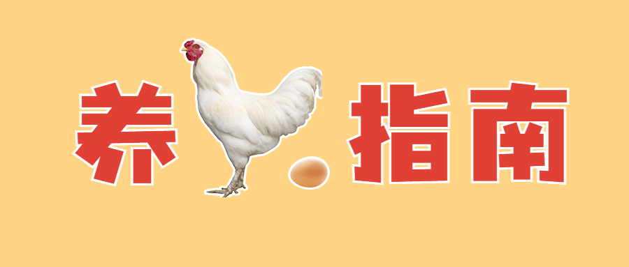 金融保险攻略指南简约公众号首图