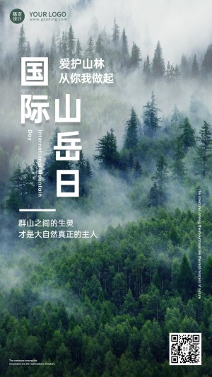 国际山岳日自然山脉宣传实景手机海报