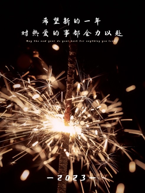 春节晒图春节祝福新年祝福烟花plog模板预览效果