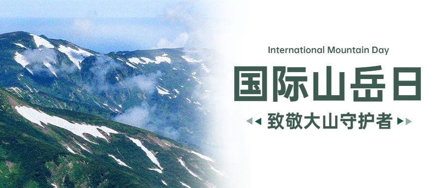 国际山岳日自然山脉公众宣传简约实景号首图预览效果