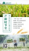 模板缩略图