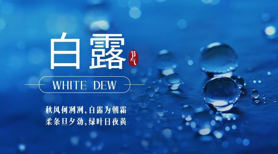 白露节气祝福实景露珠横版海报预览效果