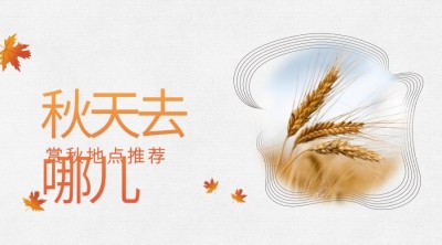 秋天去哪儿清新横版海报