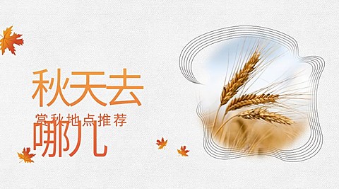 秋天去哪儿清新横版海报