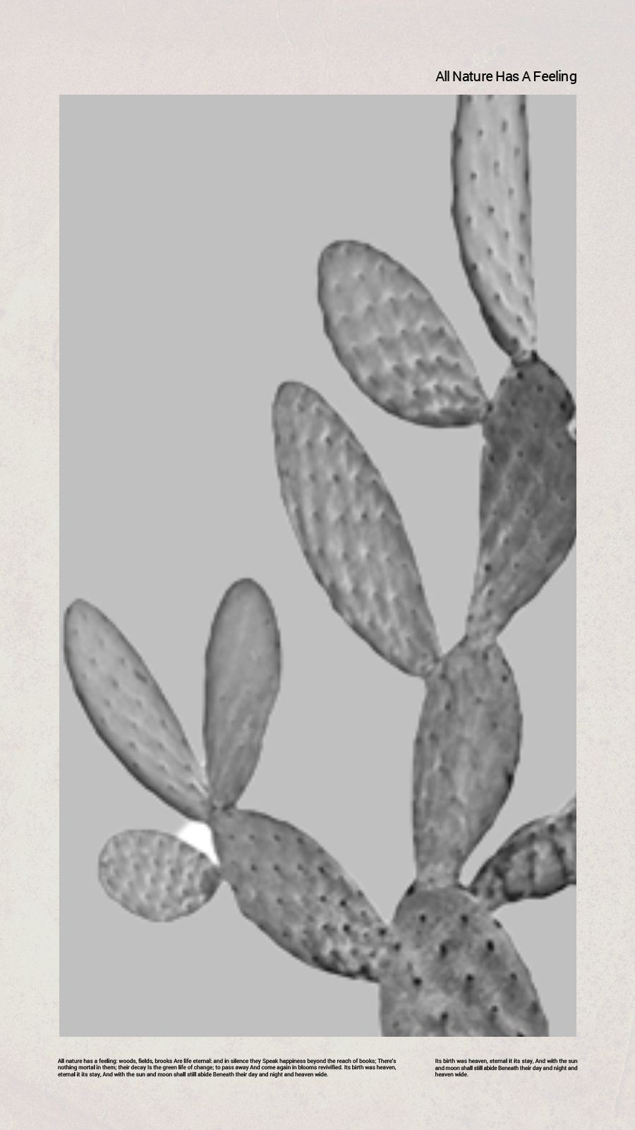 Literary Cactus Display Text Instagram Story预览效果