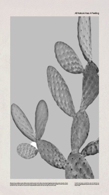Literary Cactus Display Text Instagram Story