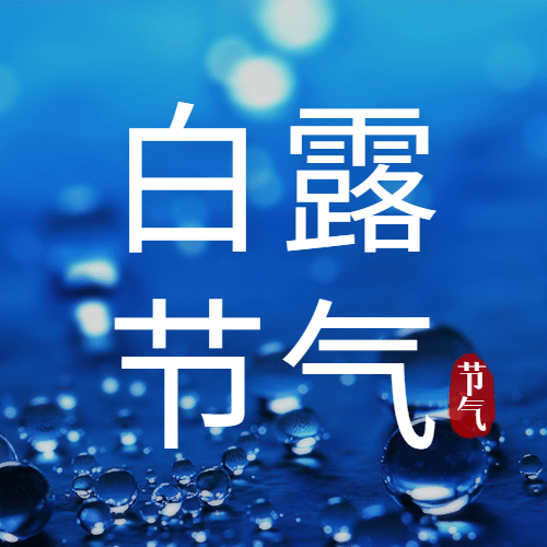 白露节气祝福实景露珠公众号次图预览效果