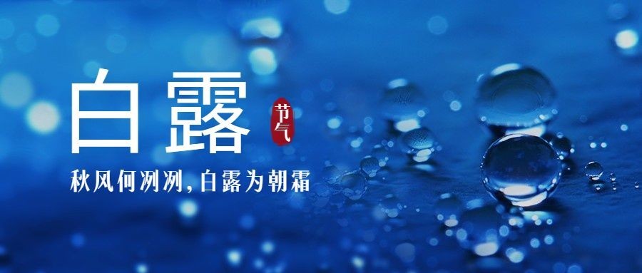 白露节气祝福实景露珠公众号首图