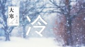 模板缩略图