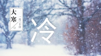 大寒节气冷横版海报