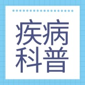 模板缩略图