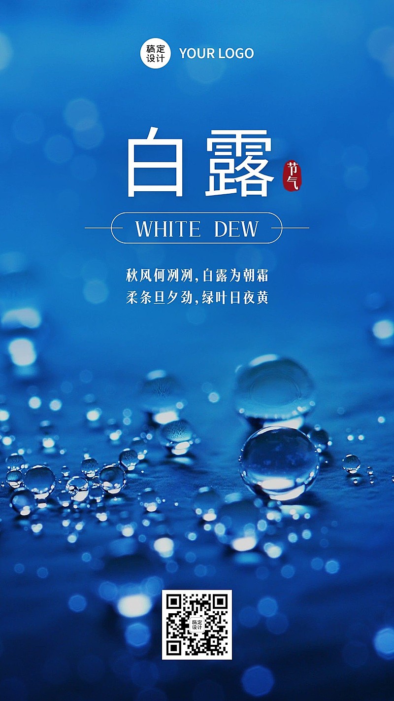 白露节气祝福实景露珠手机海报