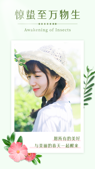 节气晒照简约清新手机海报预览效果