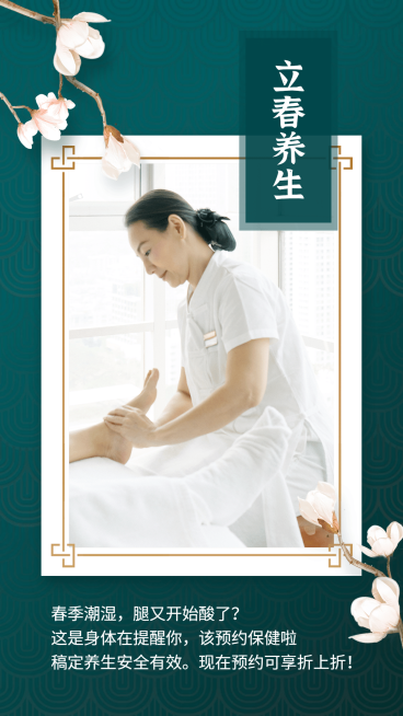 国风热点春季养生预约营销海报预览效果