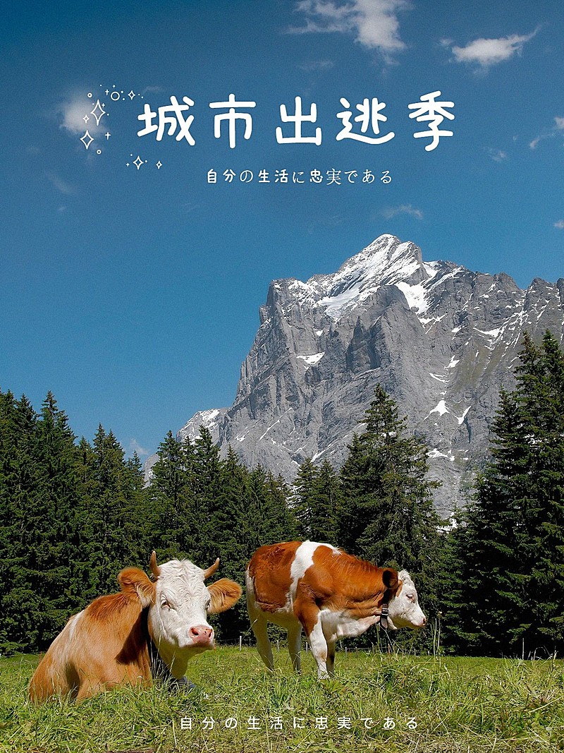 城市记录电影海报/杂志风plog模板