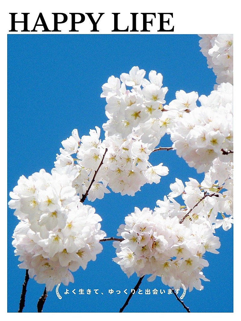 晒花日常电影海报/杂志plog模板