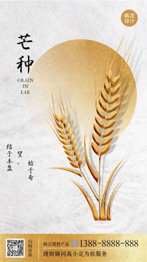 金融保险芒种节气祝福简约海报