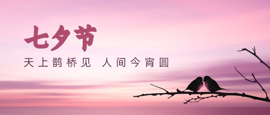 七夕情人节喜鹊实景浪漫公众号首图预览效果