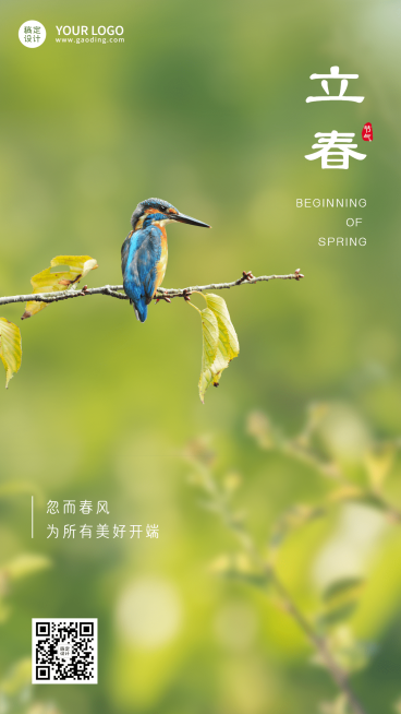 立春祝福春天实景节气手机海报预览效果