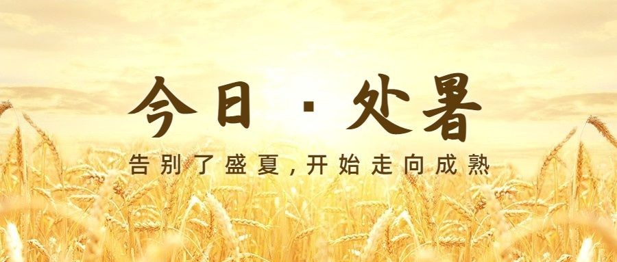 处暑节气秋天稻田农耕公众号首图预览效果