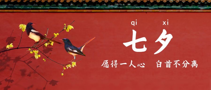 七夕情人节喜鹊红墙手绘公众号首图预览效果