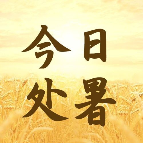 处暑节气秋天稻田农耕公众号次图预览效果