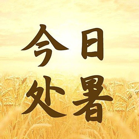 处暑节气秋天稻田农耕公众号次图