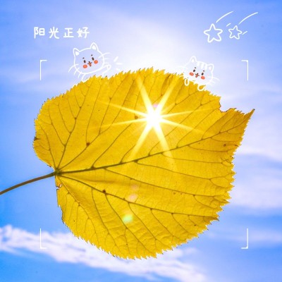 天空/云朵生活分享简约风plog模板