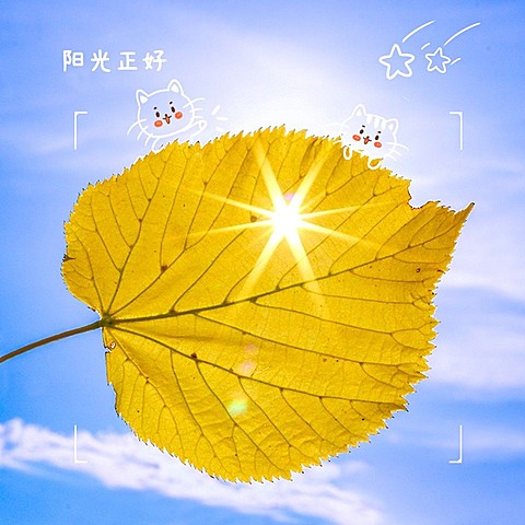 天空/云朵生活分享简约风plog模板