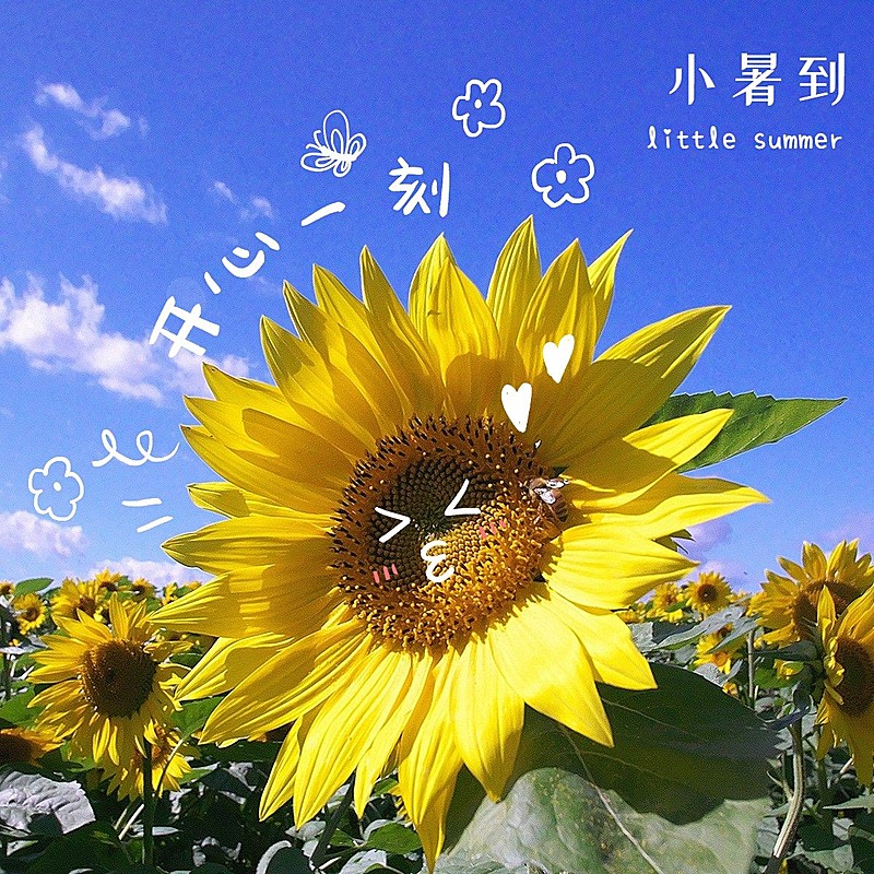 小暑晒风景向日葵可爱风plog模板