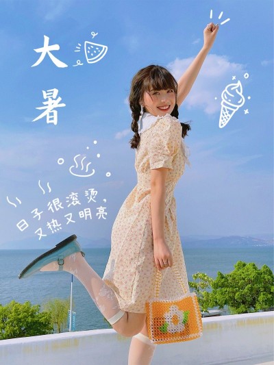 夏日节气大暑自拍分享简约风plog模板